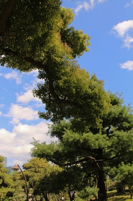 日比谷公園　