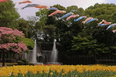 川口グリーンセンター　