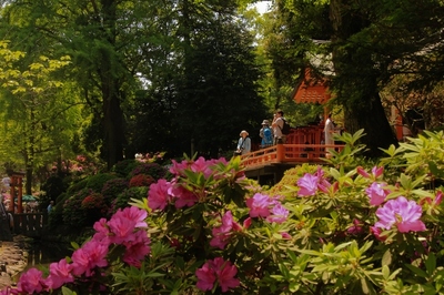 根津神社