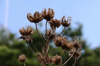都市農業公園