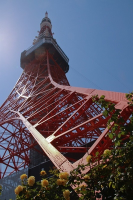 東京タワー　