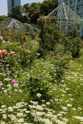 芝プリンスホテル庭園