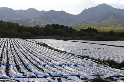 野辺山高原　