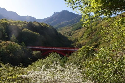 八ヶ岳山麓