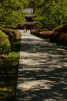 立科町・御泉水自然公園　（2018.5.20）