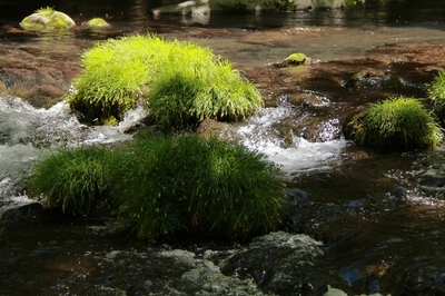 軽井沢大滝