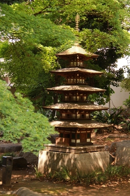 高円寺の寺社　（2018.5.27）