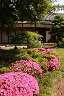 高円寺の寺社