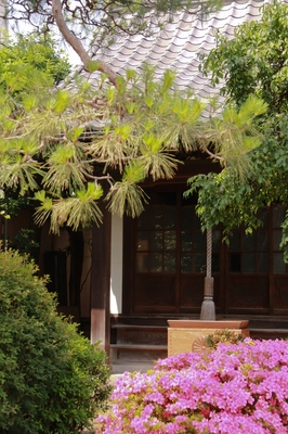 高円寺の寺社