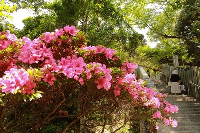 雨引観音・楽法寺　