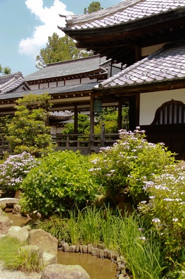 雨引観音・楽法寺　