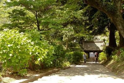 雨引観音・楽法寺　