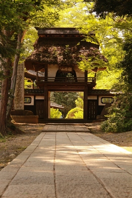 笠間市・某寺　（2018.6.3）