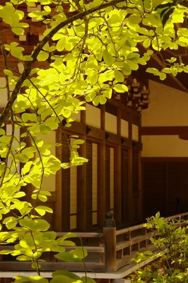 笠間市・某寺