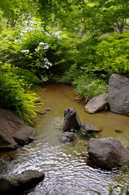 六本木毛利庭園