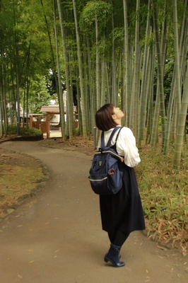 大宮氷川神社参道