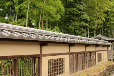 大宮氷川神社参道