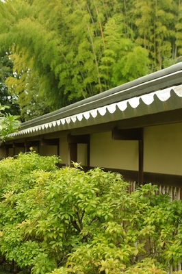 大宮氷川神社参道