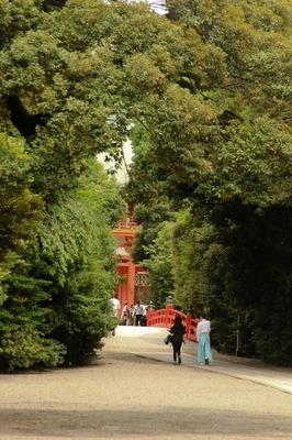 大宮氷川神社参道