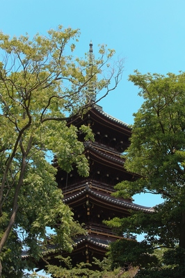 上野寛永寺