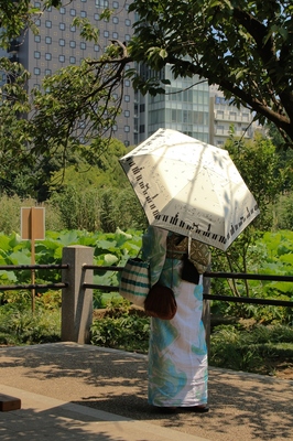 上野不忍池