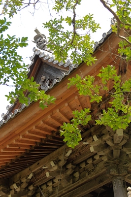 上田市・安楽寺