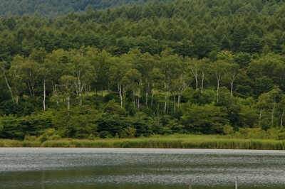 群馬嬬恋・田代湖