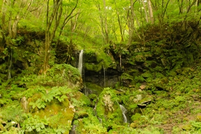 群馬・嬬恋村