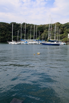 三浦海岸油壷