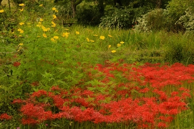 栃木・花之江の郷