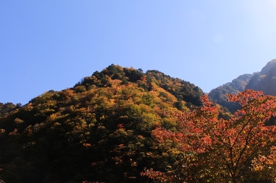 秩父・中津川渓谷　（2018,10.28）