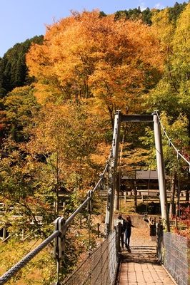 秩父・中津川渓谷