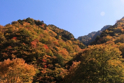 秩父・中津川渓谷