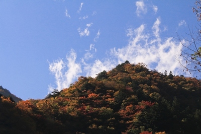 秩父・中津川渓谷