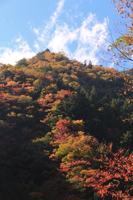 秩父・中津川渓谷