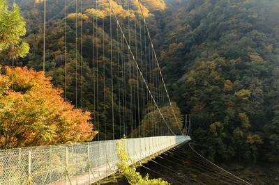 秩父・大滝村吊り橋