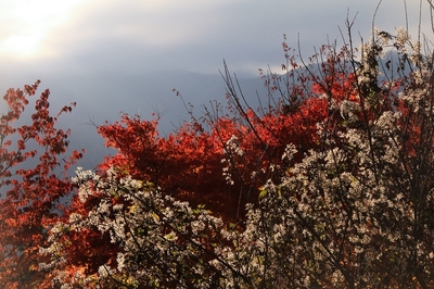 秩父・三峰神社　（2018.10.28）