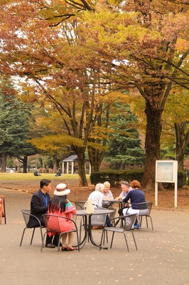 代々木公園　（2018.11.8）