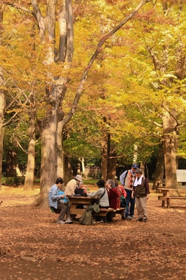 代々木公園