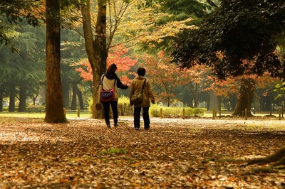 代々木公園