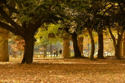 代々木公園