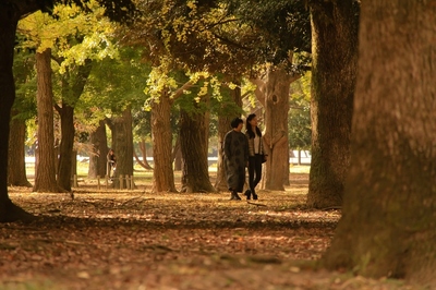 代々木公園