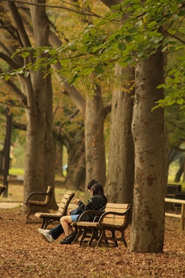 代々木公園