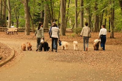 代々木公園