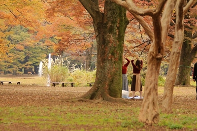 代々木公園