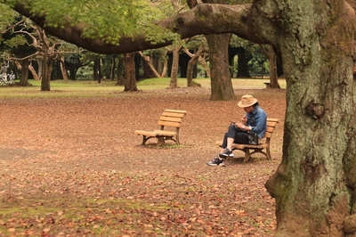 代々木公園