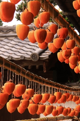 塩山コロ柿の里