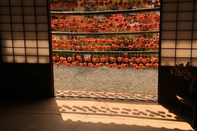 塩山コロ柿の里