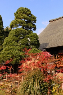 塩山コロ柿の里