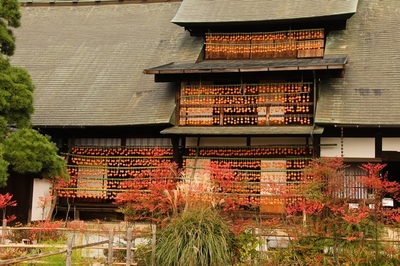塩山コロ柿の里